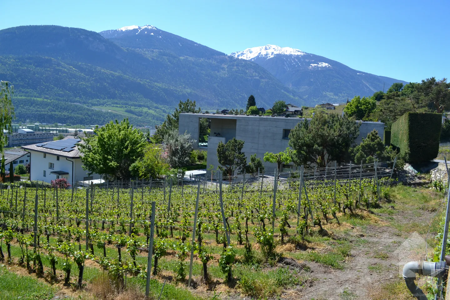 Wunderschönes Grundstück mit Blick auf Sierre in einer Villengegend von 1'099 m2 - Foto 6 von 9