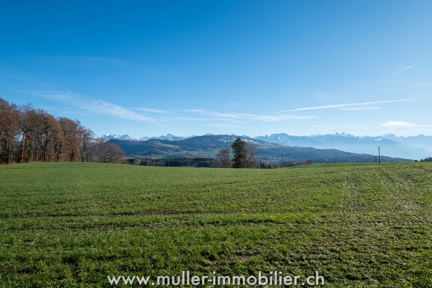 Ferme rénovée en pleine nature - Photo 12 sur 13