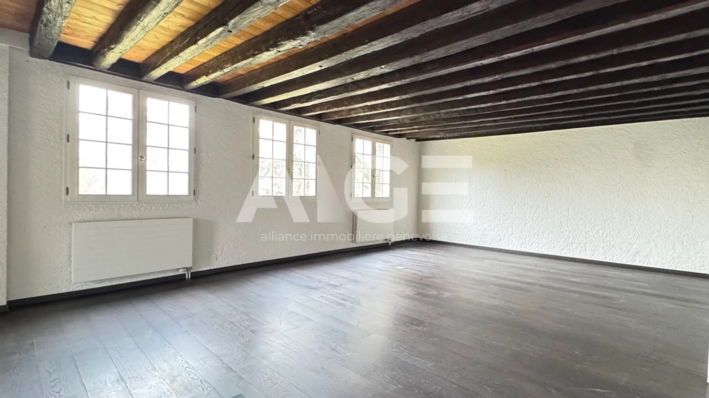 Magnifique propriété sur parcelle de 3'300m2 - Foto 7 von 11