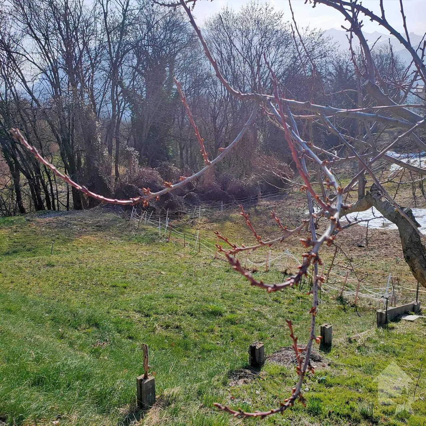 Magnificent plot in the center of the village of Chermignon-d'en-Haut - Photo 1 of 8