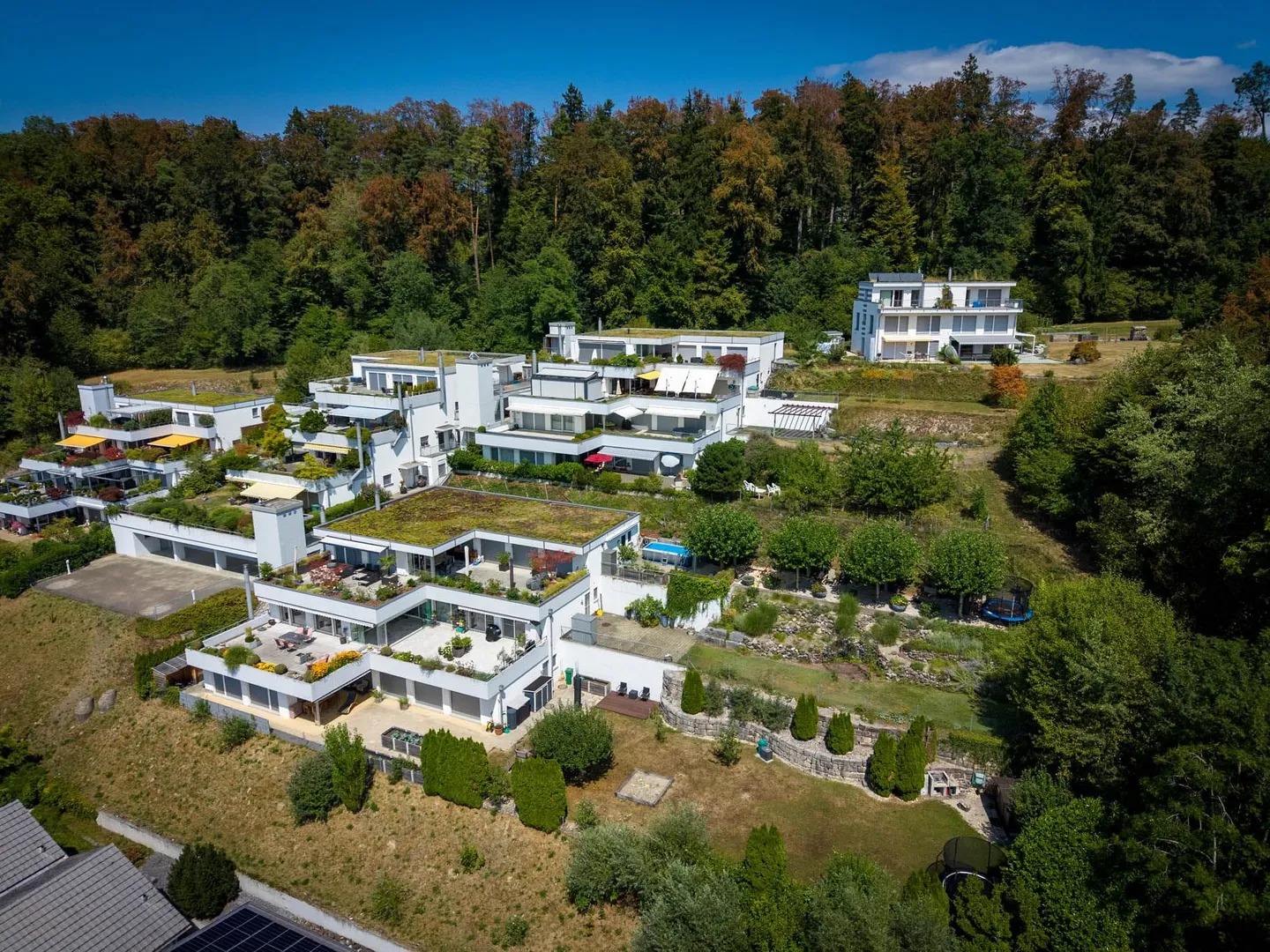 Vivere esclusivamente con vista sul lago e sulla montagna - Foto 1 di 13
