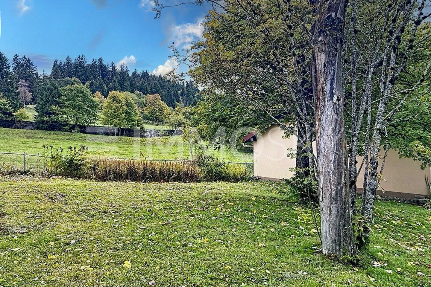 Casa da ristrutturare nel cuore della natura - Foto 5 di 5