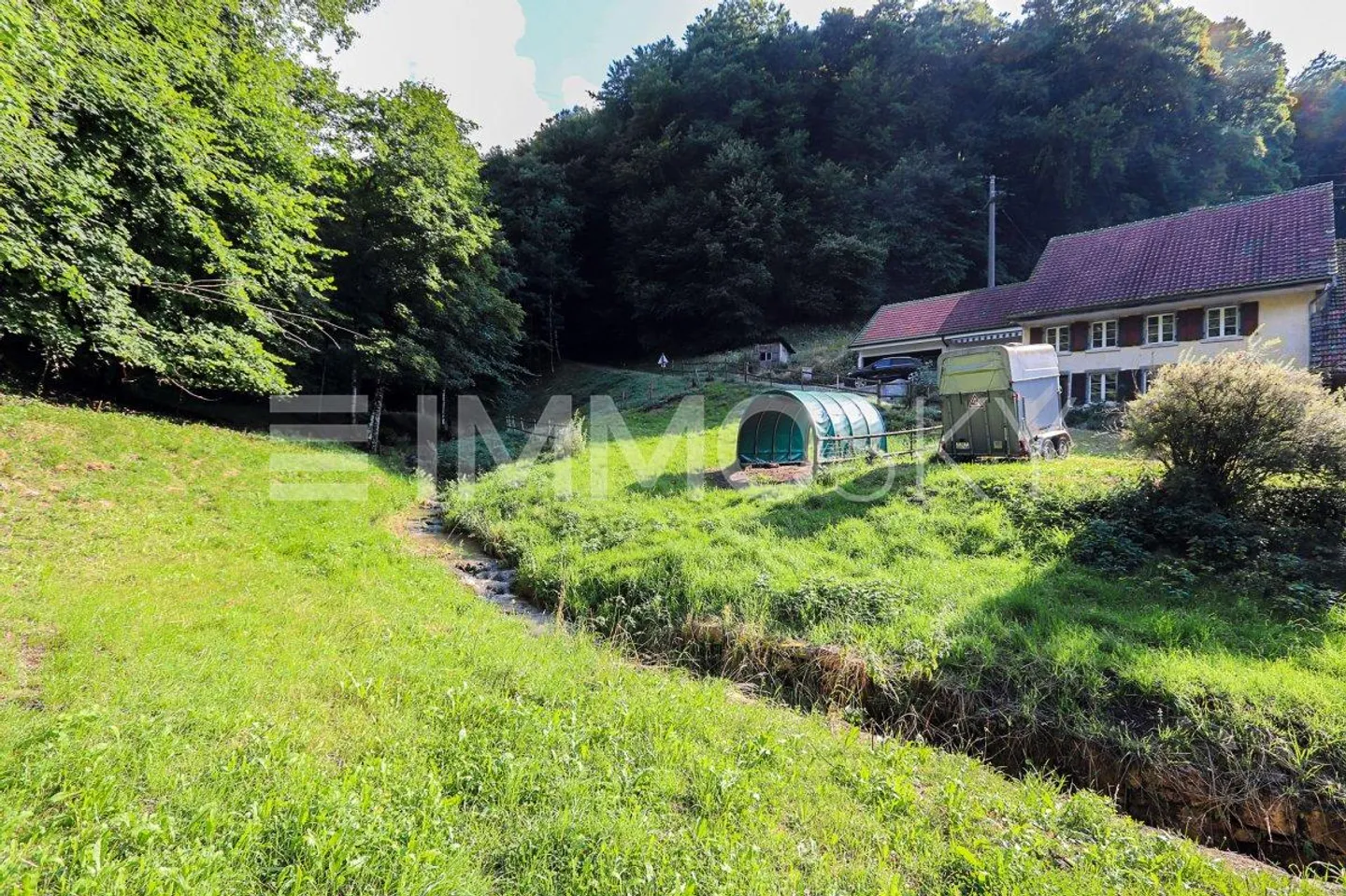 Une maison proche de la nature - pour vous et vos animaux - Photo 3 sur 5