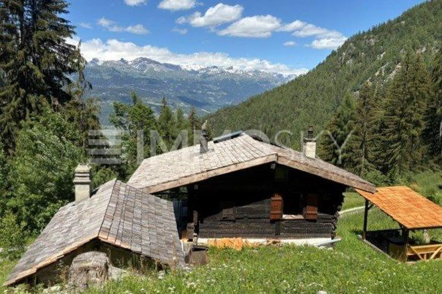 Charmant Mayen Valaisan - Photo 3 sur 5
