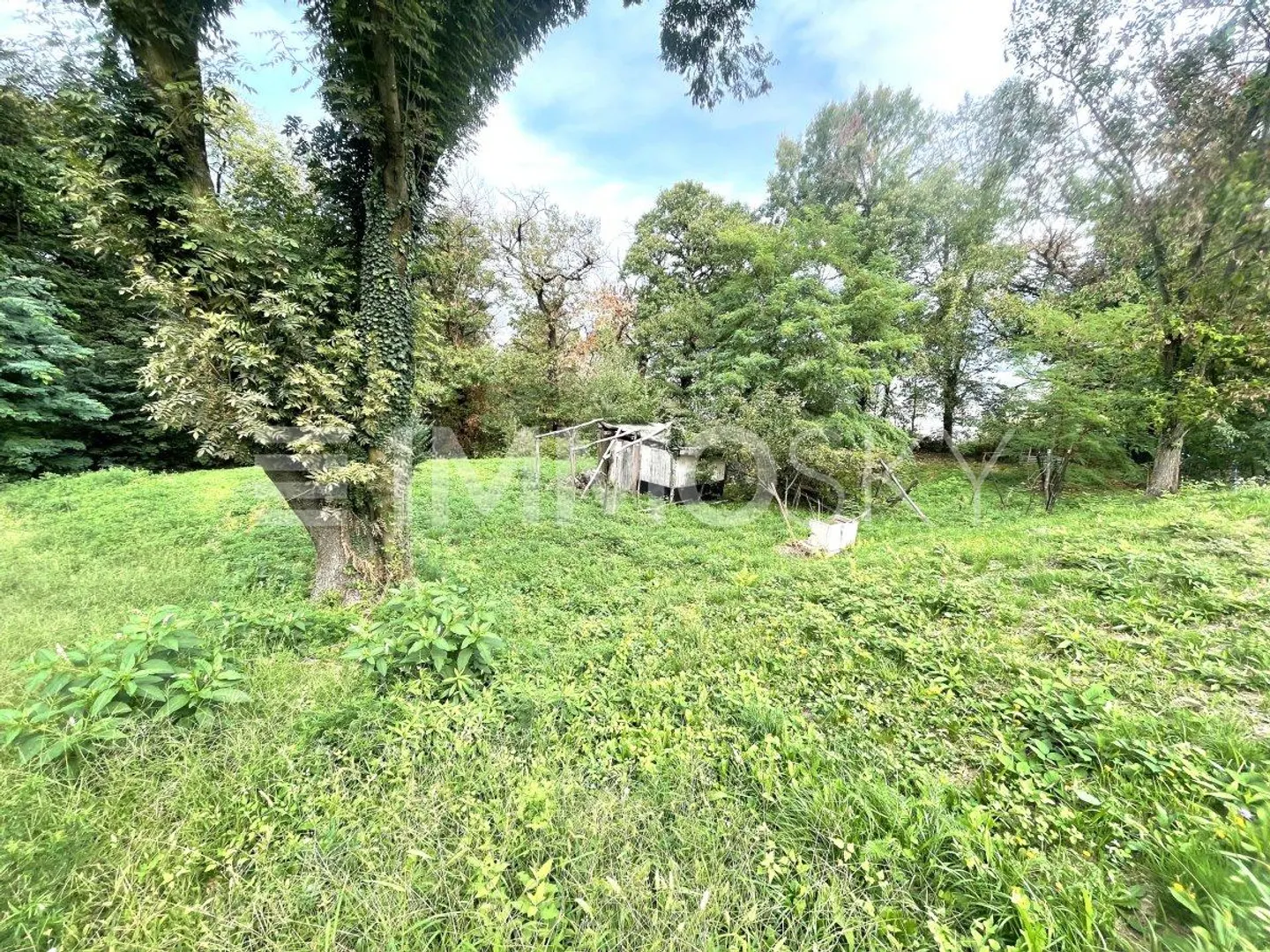 Terreno spazioso in zona soleggiata - Foto 4 di 5