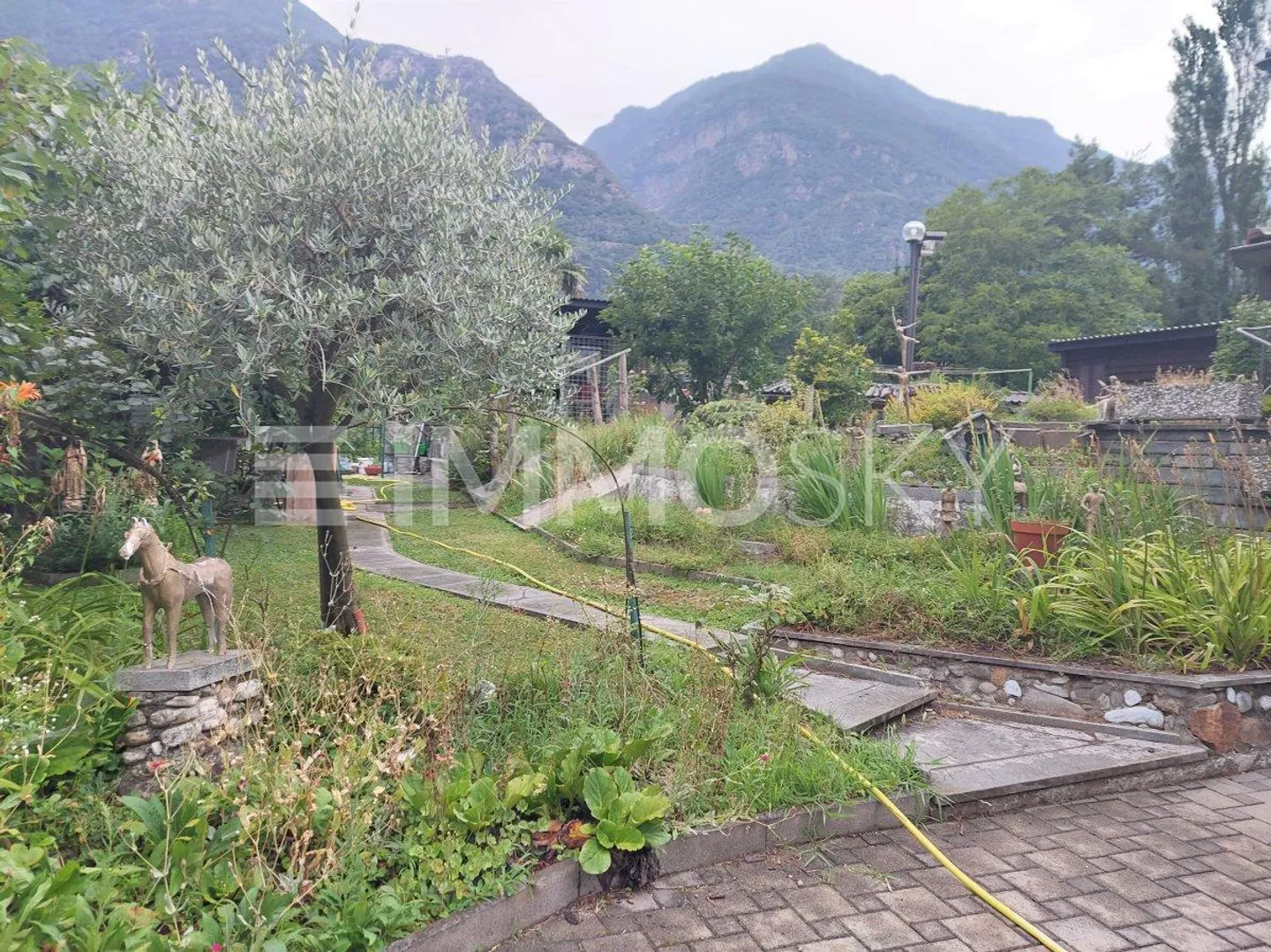 Famille et jardin : Une histoire de joie - Photo 2 sur 5