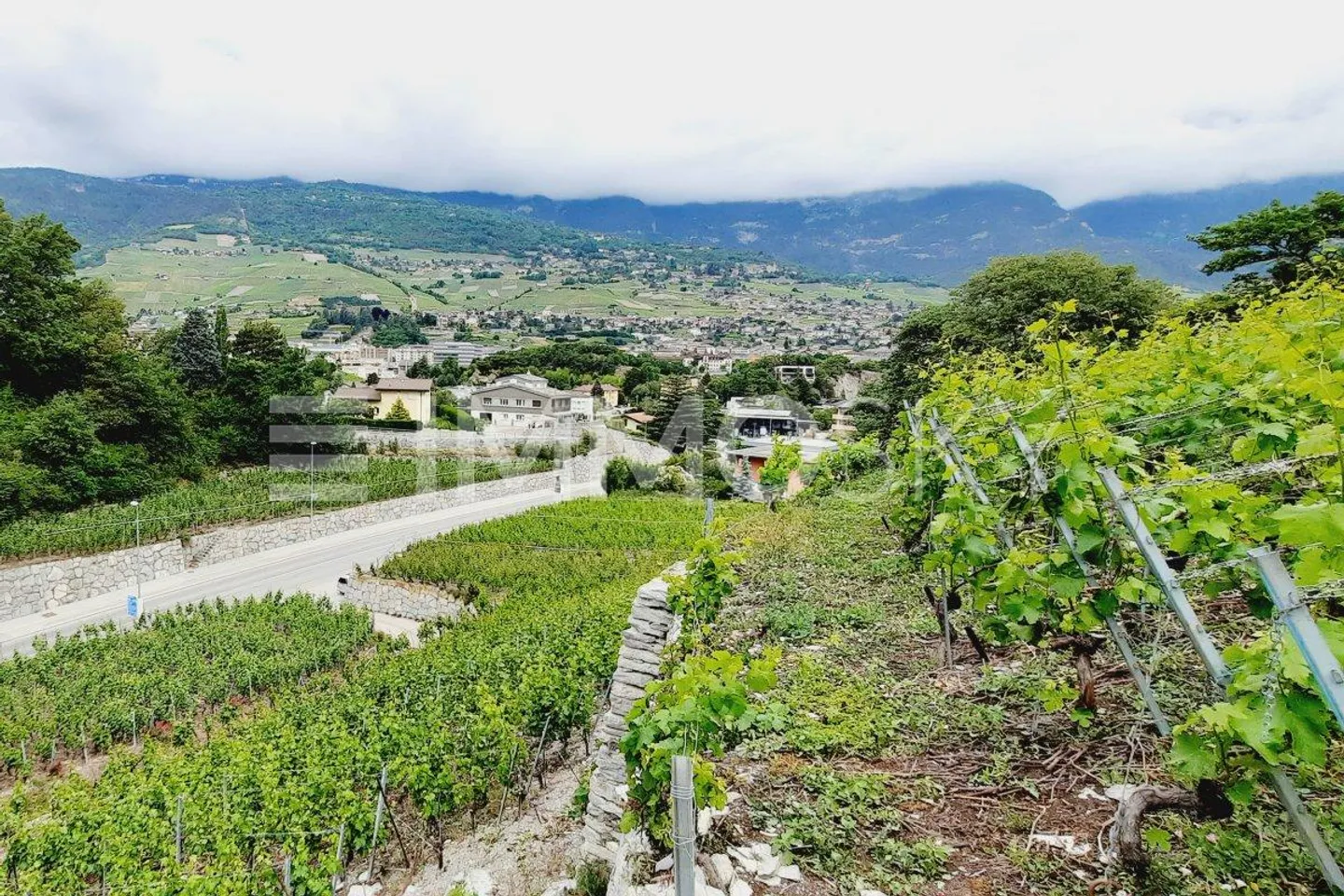 Exclusivité ImmoSky : Terrain à constuire avec vue unique - Photo 2 sur 4