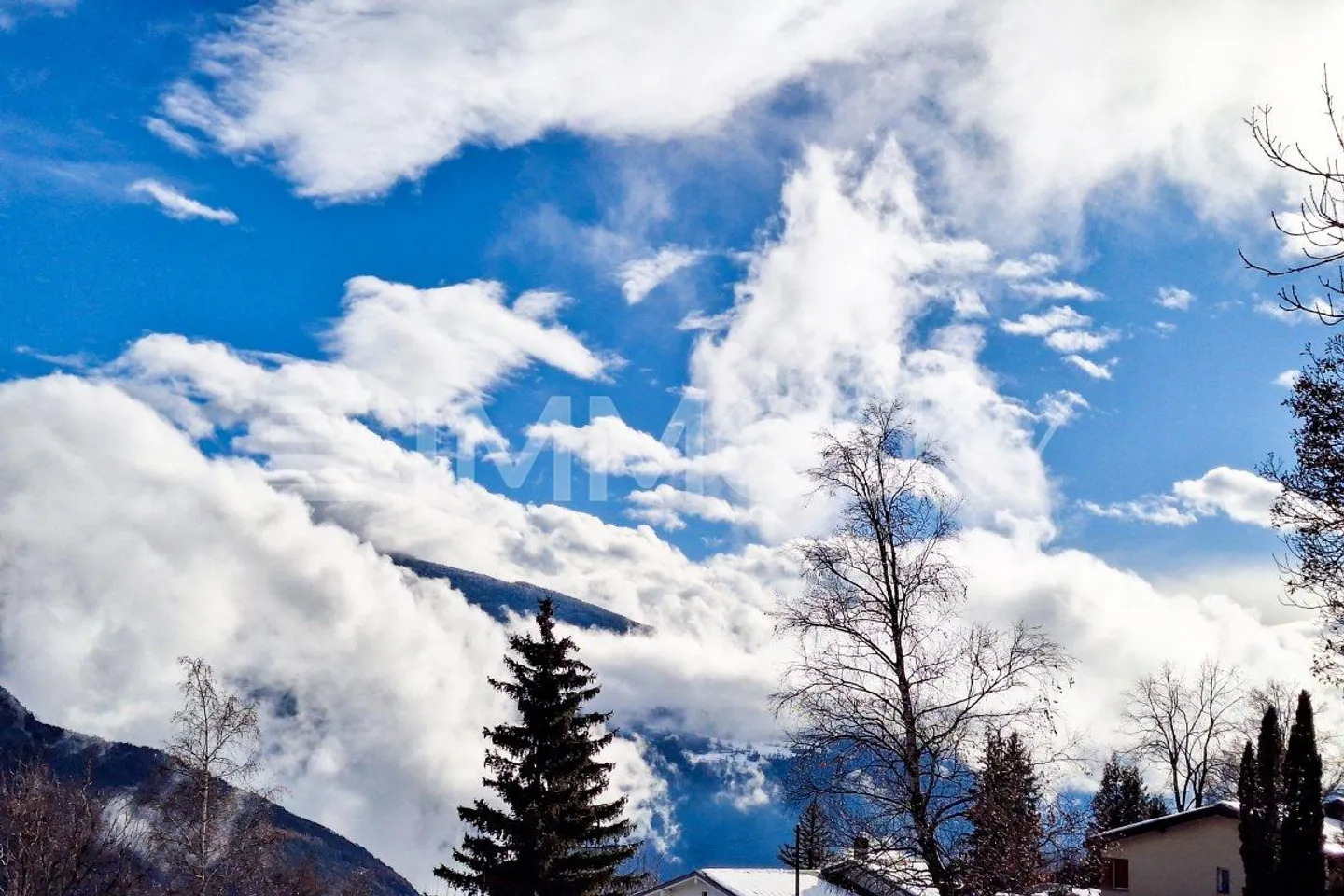 Un grand bol dair frais (Lot E) - Photo 1 sur 4