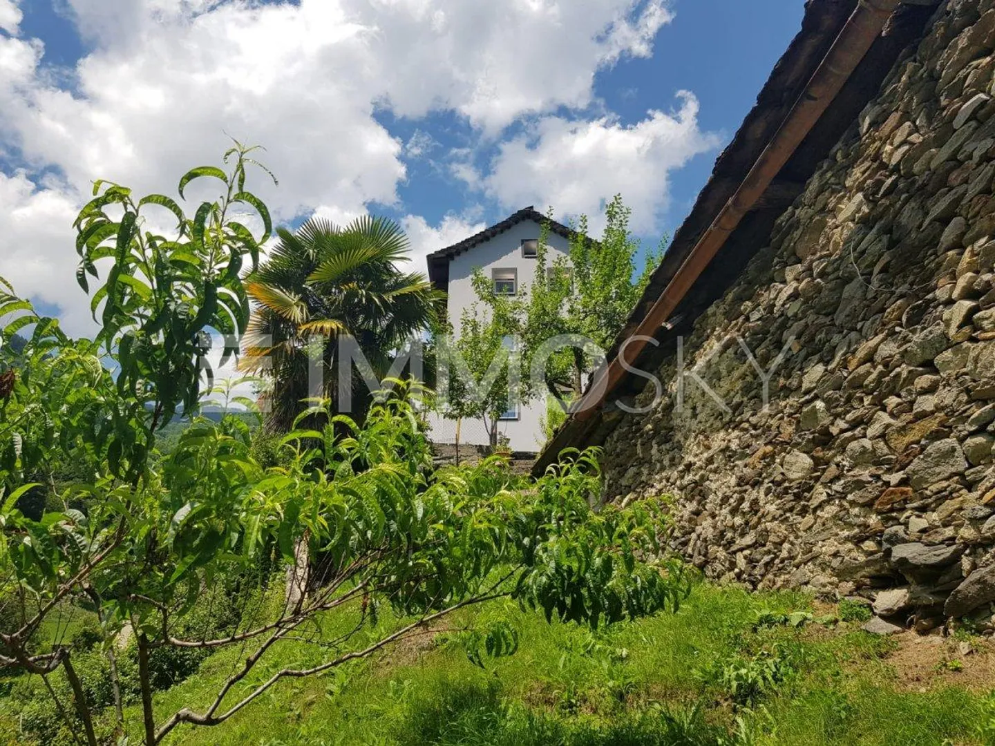 Vivere a contatto con la natura, realizza il tuo sogno - Foto 5 di 5