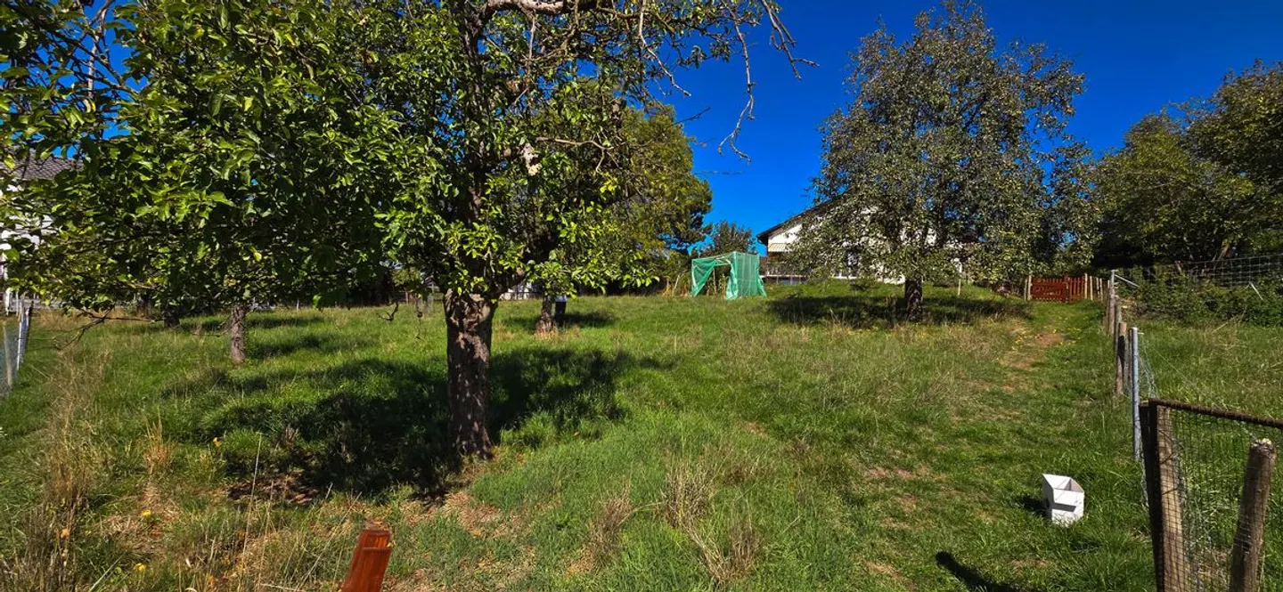 Baugrundstück mit Aussicht - Foto 3 von 4