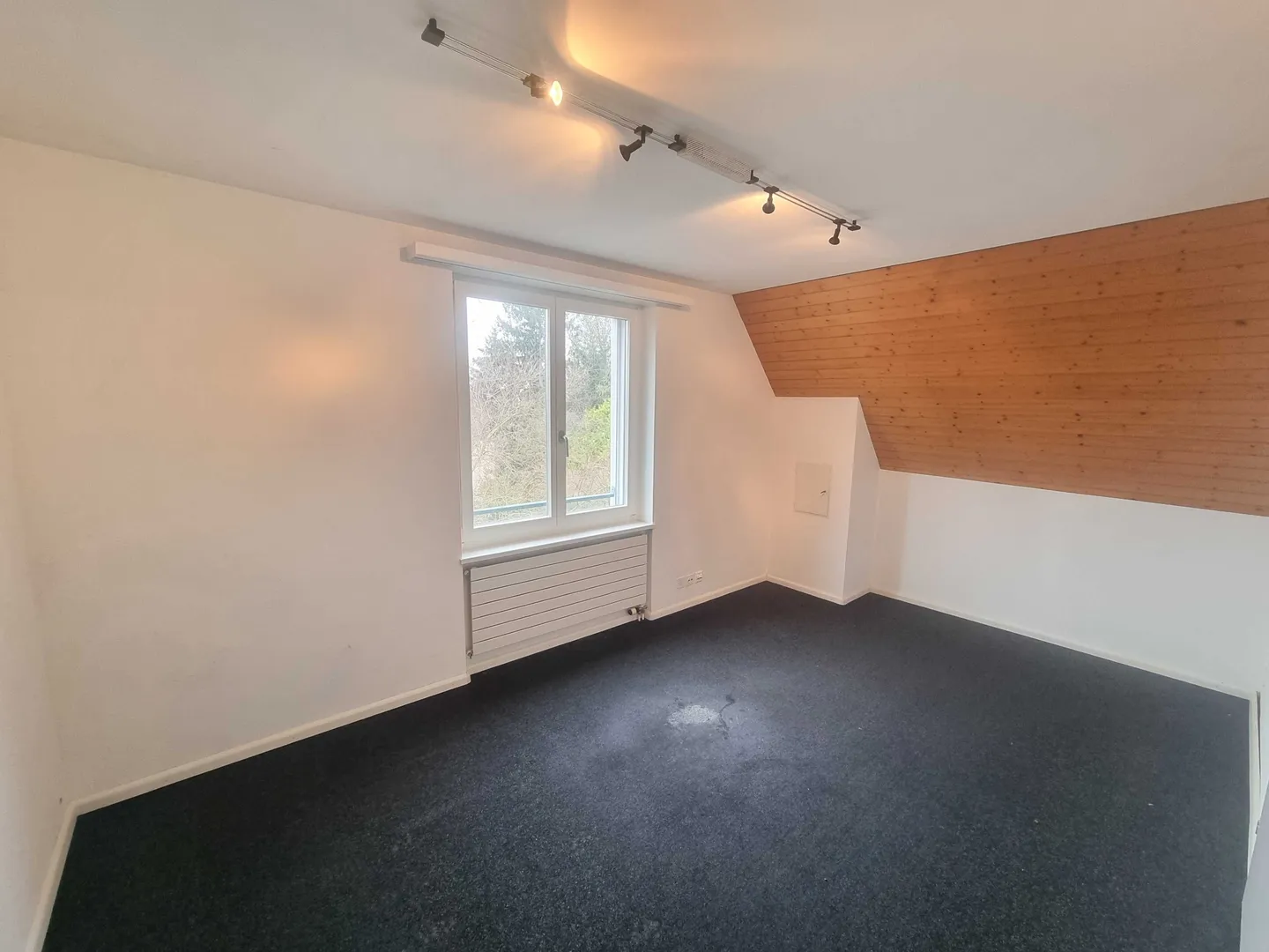 Villa de 10 pièces avec vue sur la montagne et véranda à Riehen à vendre - Photo 5 sur 13