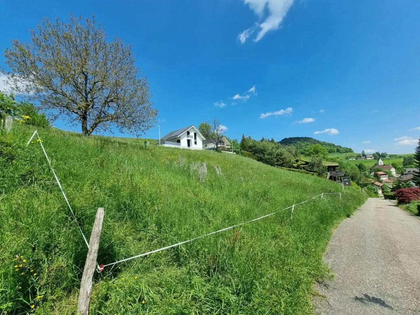 Grosses Baugrundstück mit Weitsicht in Bretzwil kaufen - Photo 6 sur 9