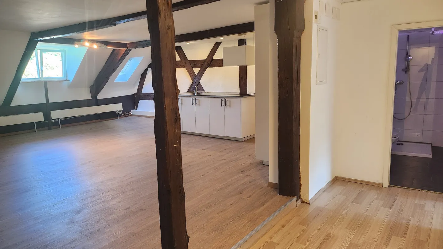 Appartement de charme 3.5 pièces à louer à Kaiserstuhl - Photo 4 sur 8
