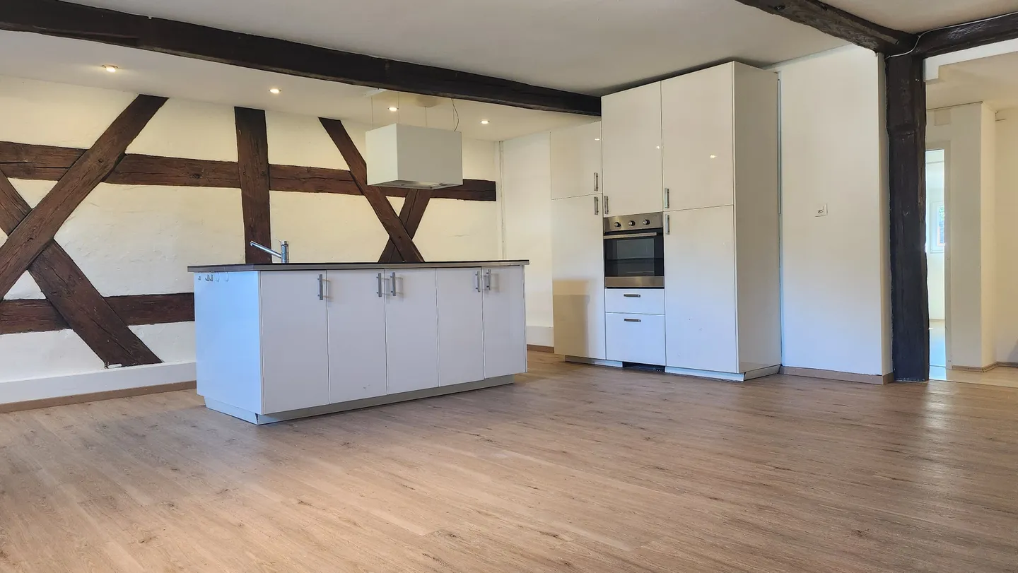 Appartement de charme 3.5 pièces à louer à Kaiserstuhl - Photo 1 sur 8