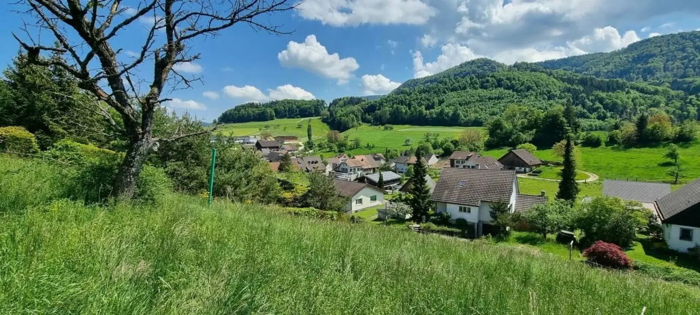Grosses Baugrundstück mit Weitsicht in Bretzwil kaufen - Photo 4 sur 9