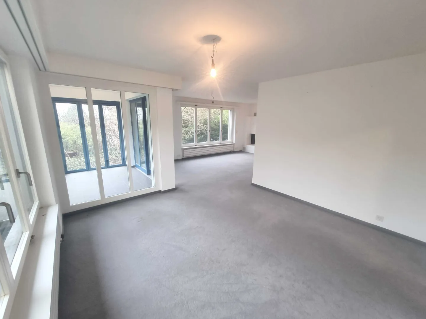 Villa de 10 pièces avec vue sur la montagne et véranda à Riehen à vendre - Photo 11 sur 13