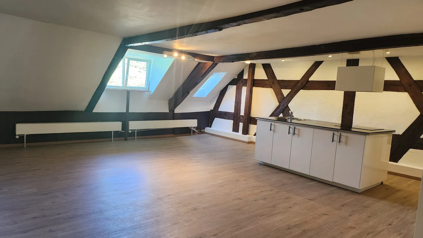 Appartement de charme 3.5 pièces à louer à Kaiserstuhl - Photo 2 sur 8