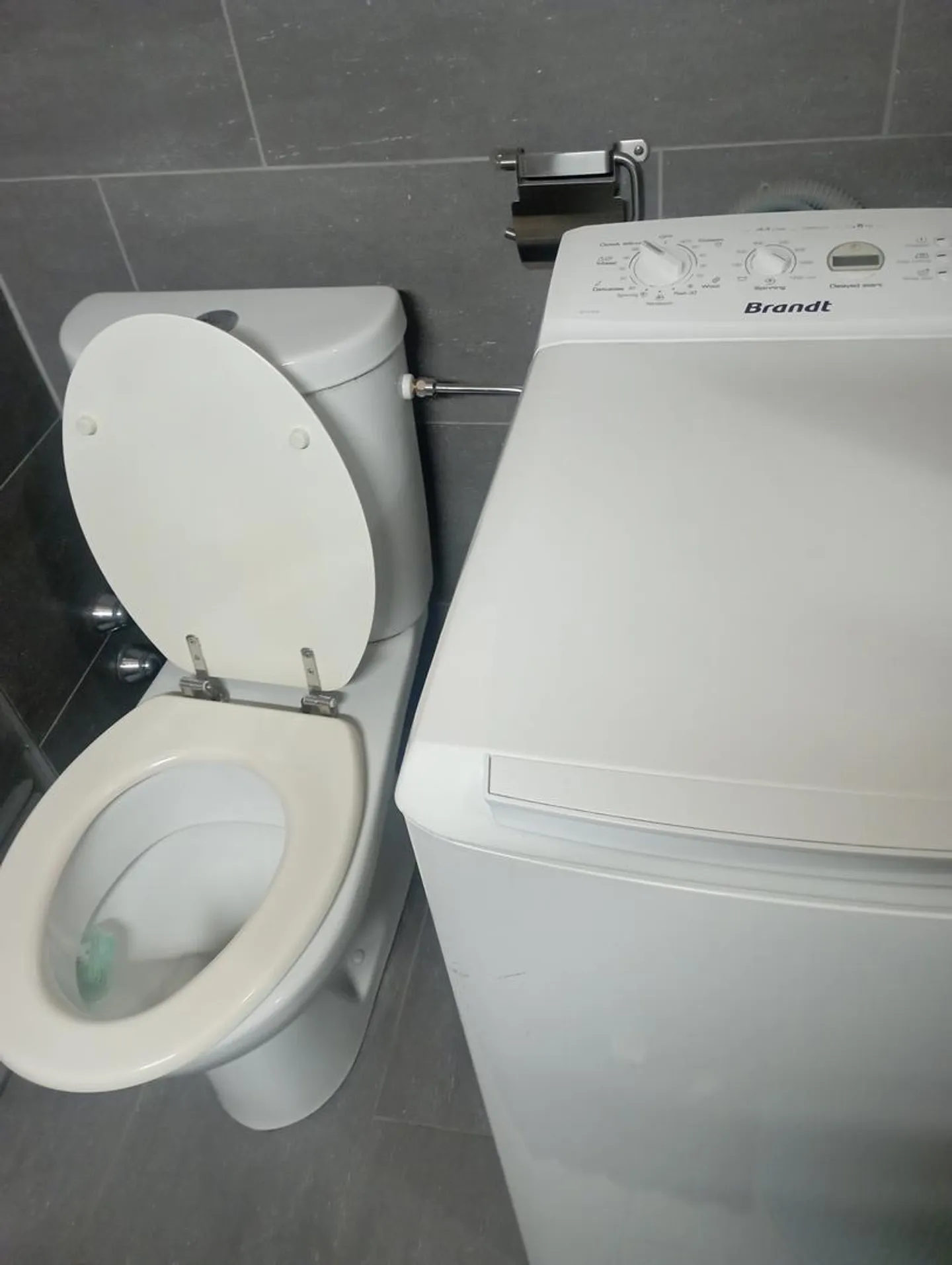 Seltene Gelegenheit in Délices: 1,5-Zimmer-Studio - Rechte Seite - Möbliert - Foto 10 von 12