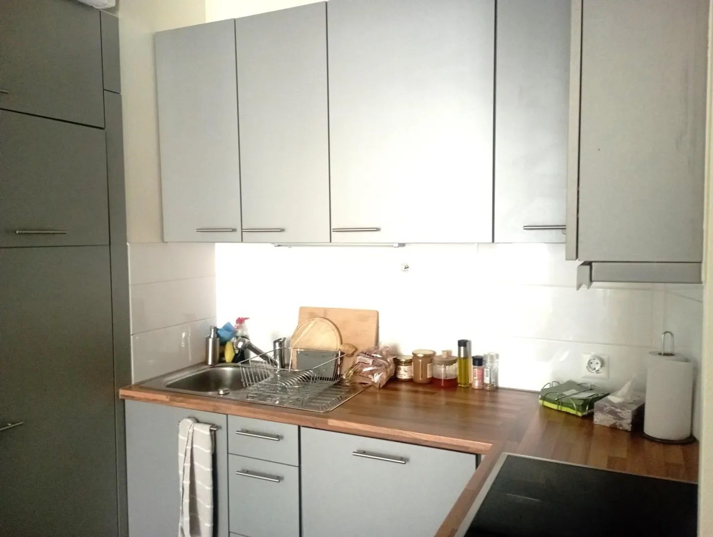 Eaux-Vives District: Spacious 4 Rooms | 70 m2 Close to Amenities and Transport - Photo 3 of 13