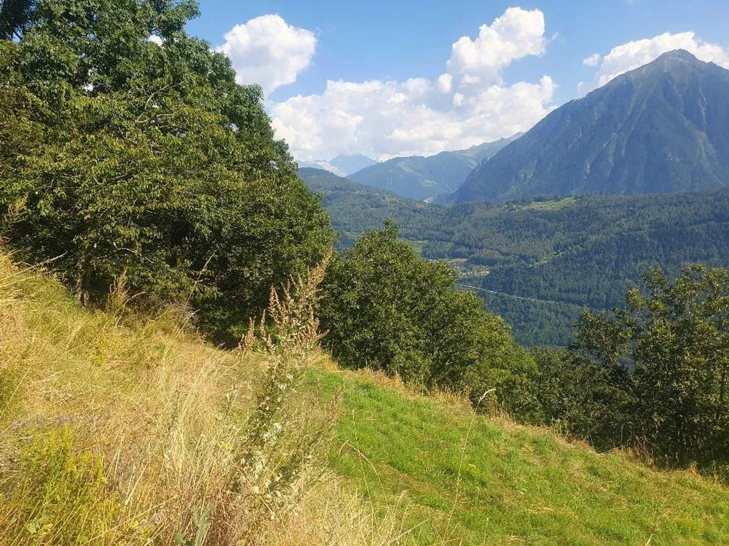 Da afferrare! Bella parcella a Ravoire | Martigny-Combe - Foto 3 di 7