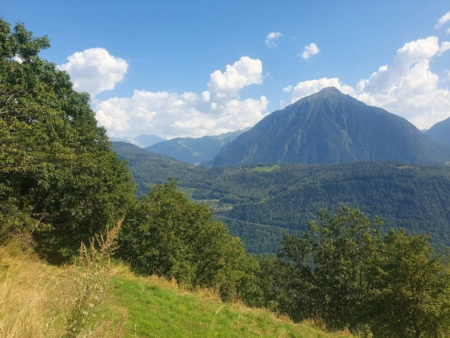 Da afferrare! Bella parcella a Ravoire | Martigny-Combe - Foto 4 di 7