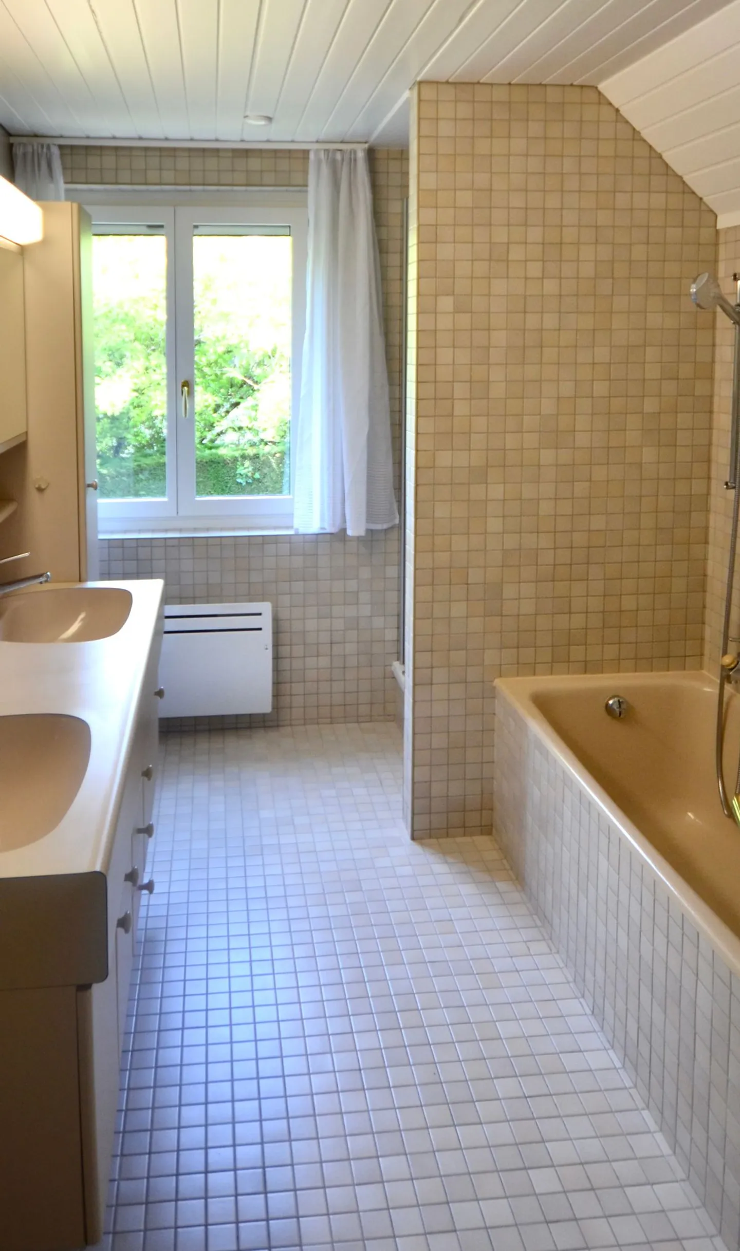 Villas au bord du Léman - Photo 7 sur 13