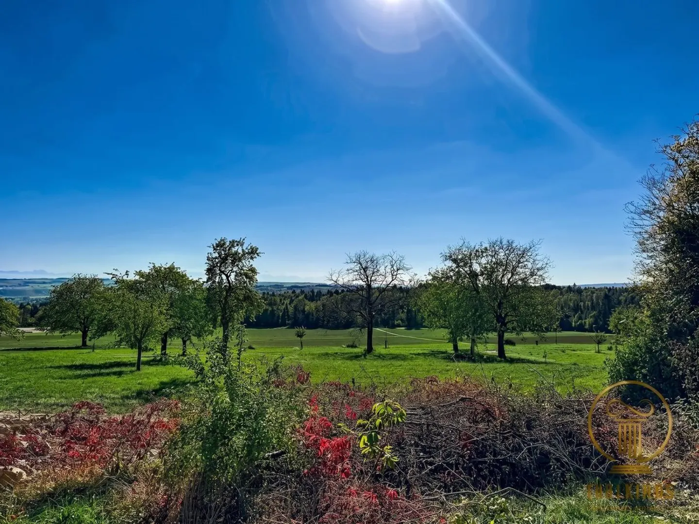 ORGES - Ertragsgebäude mit 6 Wohnungen, Gartenfläche und Parkplätzen - Foto 8 von 11