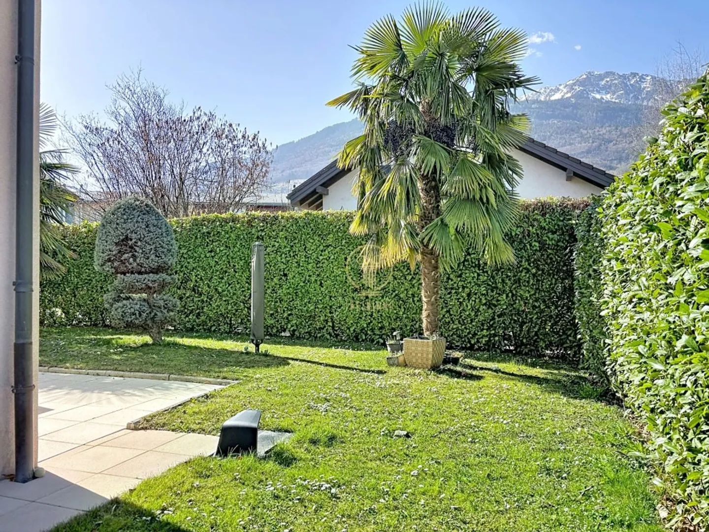 ESCLUSIVITÀ - A MONTHEY, casa indipendente 5.5 locali con bel giardino in zona residenziale - Foto 3 di 13