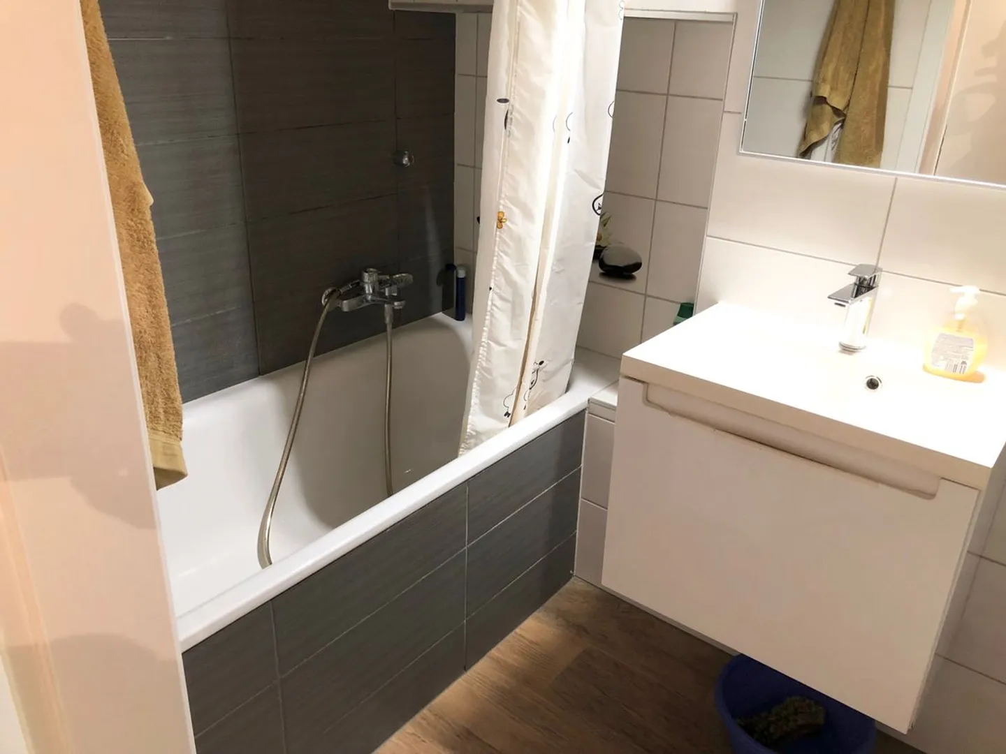 Payerne - Lot 5 - Photo 6 of 7