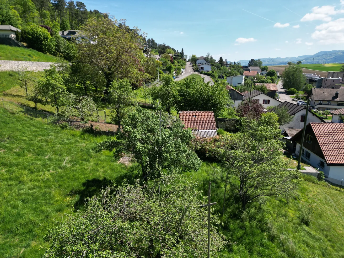 Magnifico Terreno con vista incredibile da costruire e da rendere abitabile - Foto 9 di 9