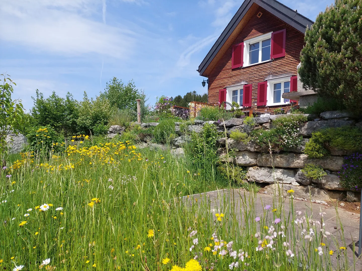 Panorama e fascino con vista montagna: vivere nel cuore della natura - Foto 2 di 12