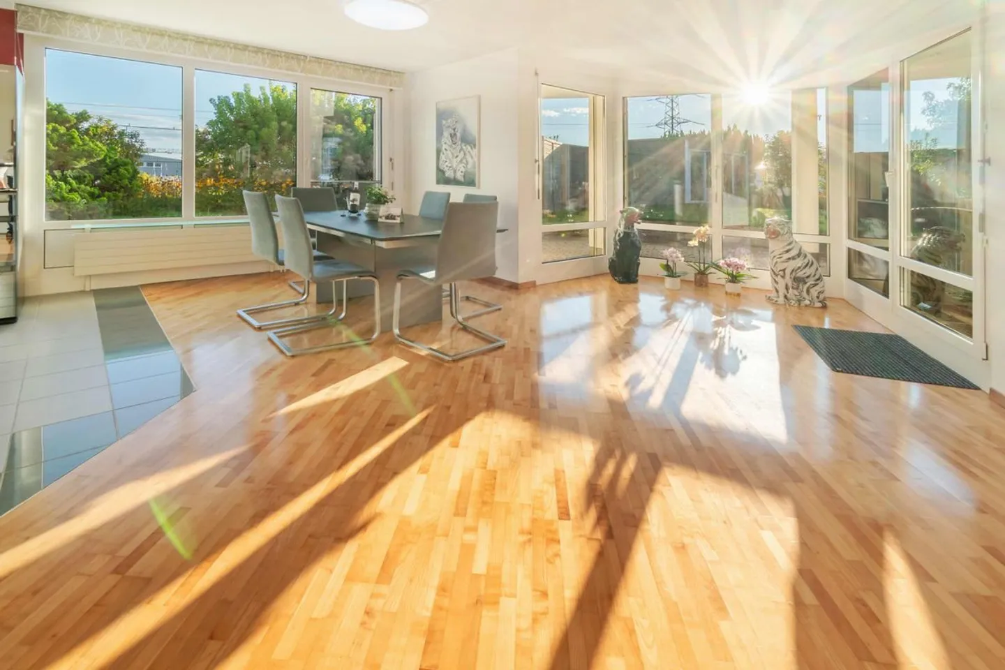 PENTHOUSE APARTMENT WITH GARDEN - Photo 4 of 13