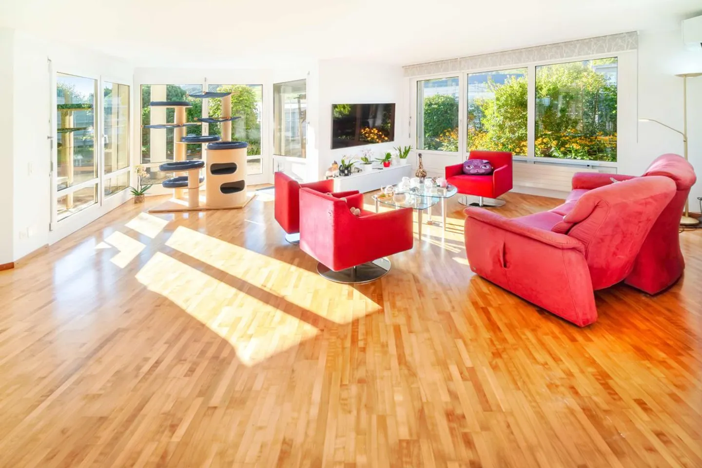 PENTHOUSE APARTMENT WITH GARDEN - Photo 6 of 13