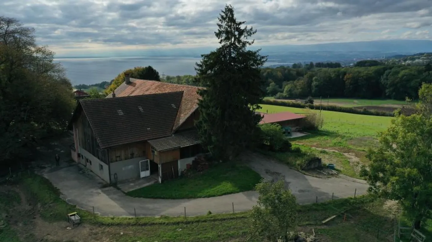 Selten! Großes, wunderschön gelegenes Bauernhaus mit Seeblick! - Foto 2 von 5