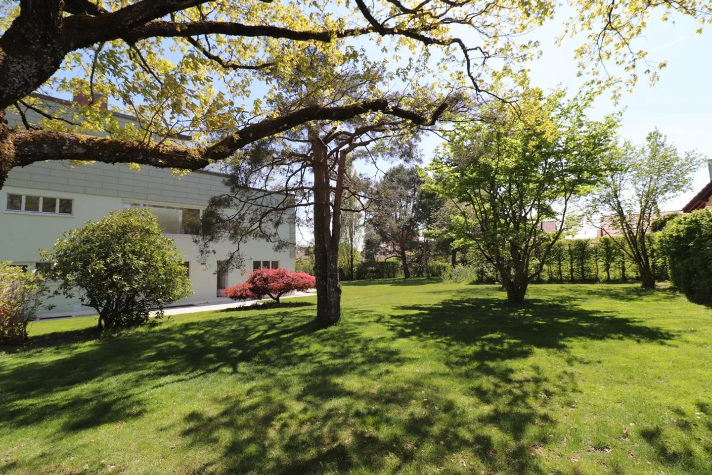 9 Minuten von Echallens entfernt, seltenes und außergewöhnliches Architektenhaus im Le Corbusier-Stil, komplett renoviert, große Volumen, wunderschöner Park - Foto 9 von 9