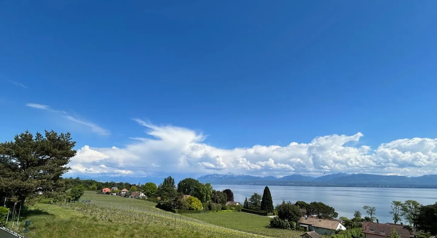 ZU VERMIETEN - BUCHILLON 2,5-Zimmer-Wohnung mit Garten und atemberaubendem Blick - Foto 1 von 5