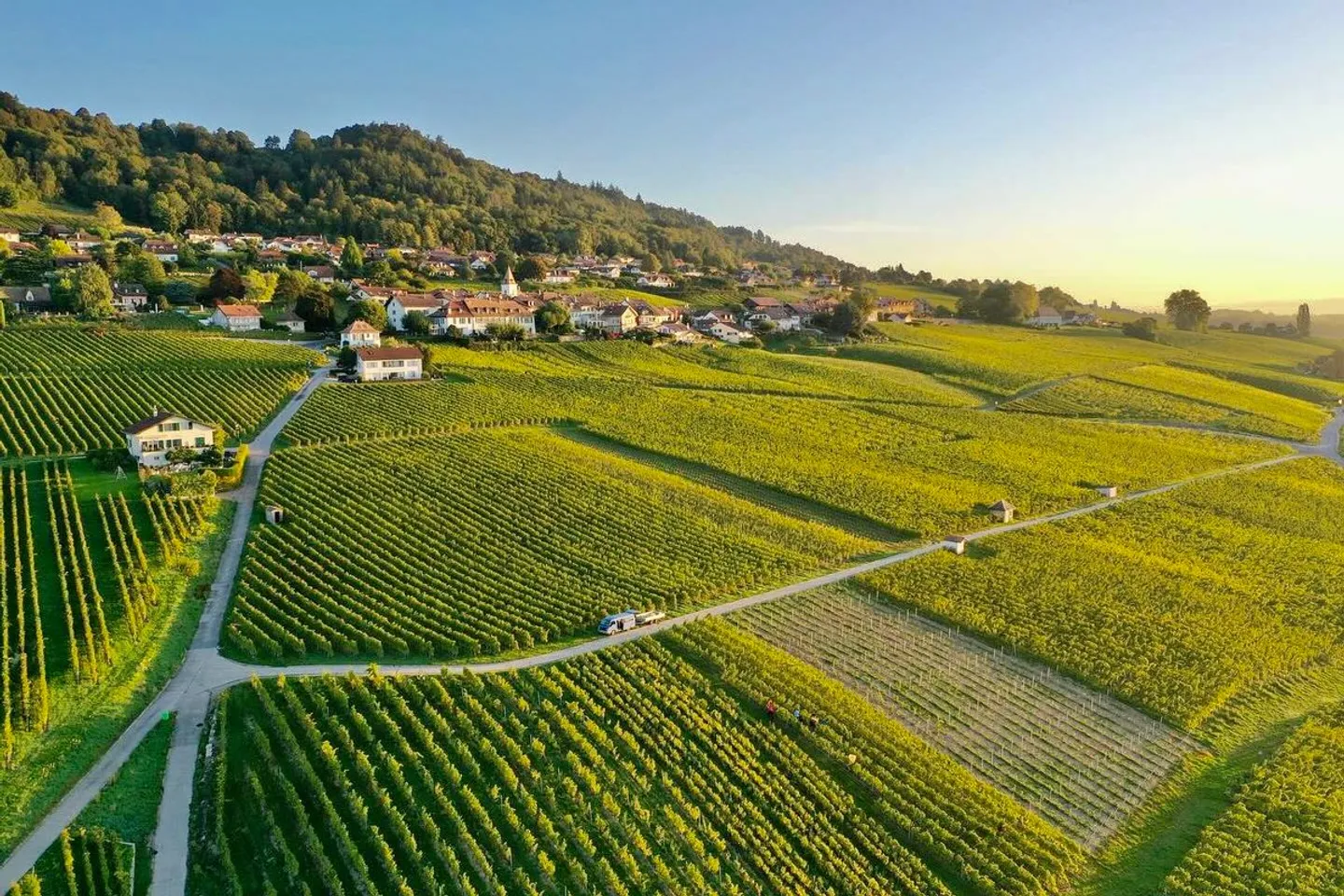 ESTATE PRESTIGIOSA CON VISTA PANORAMICA SUL LAGO, SULLE ALPI E SUL MONT BLANC - Foto 1 di 1