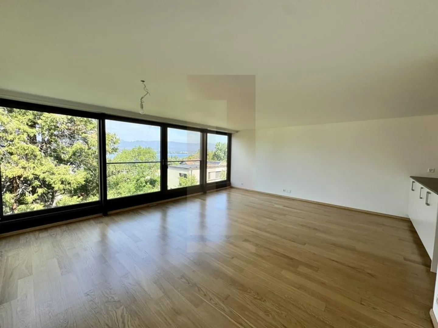 Beautiful family apartment in the center of Vesenaz with lake view - Photo 5 of 13