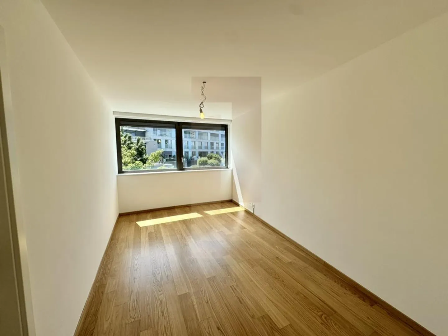 Beautiful family apartment in the center of Vesenaz with lake view - Photo 9 of 13