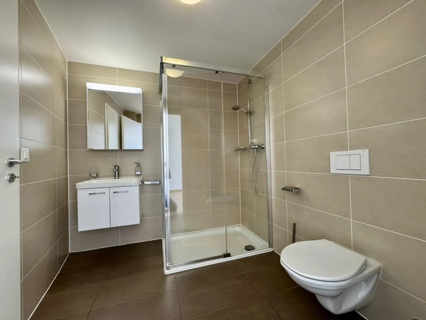 Beautiful family apartment in the center of Vesenaz with lake view - Photo 10 of 13