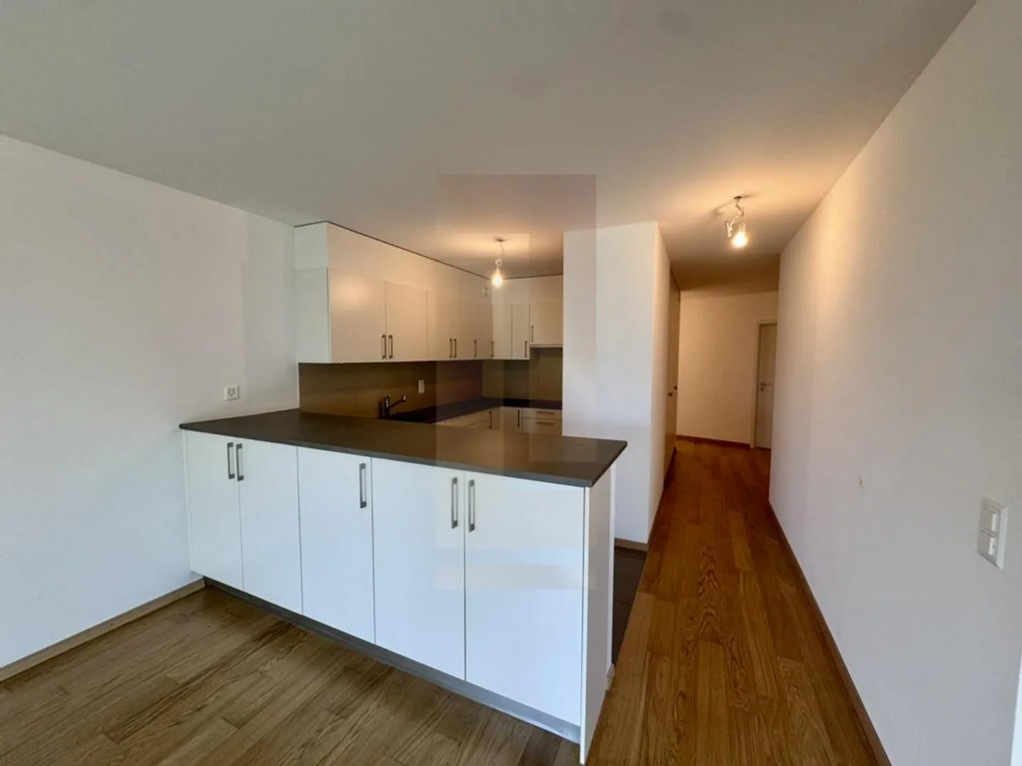 Beautiful family apartment in the center of Vesenaz with lake view - Photo 3 of 13