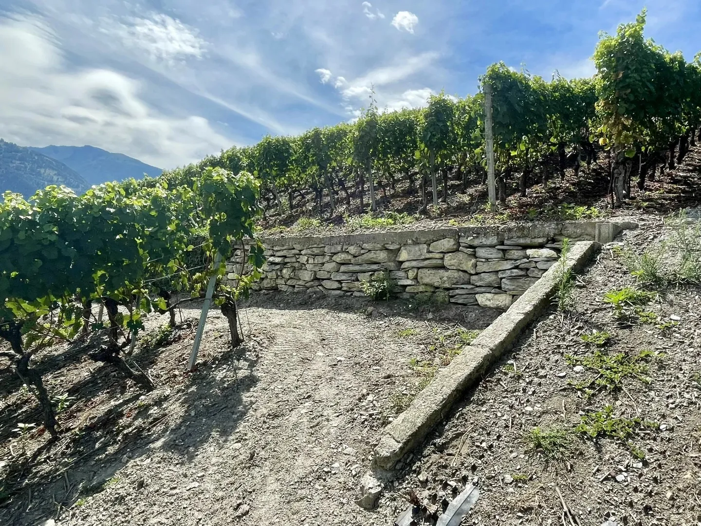 Terreno edificabile - Foto 3 di 3