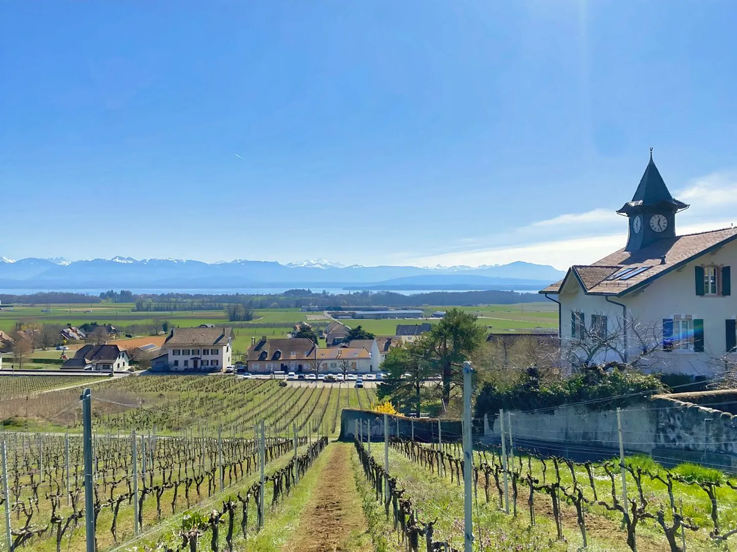 Minergie-Villa mit Aussicht und Weinberg - Foto 9 von 9