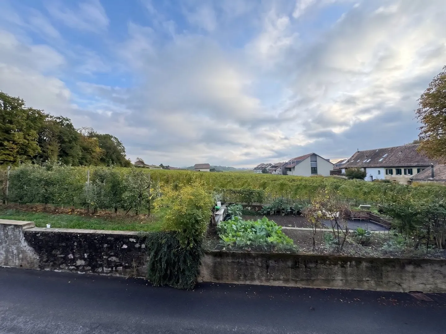 Etoy - Bel appartement de 2,5 pièces de 65 m2 avec vue sur les vignes  - Photo 9 sur 9