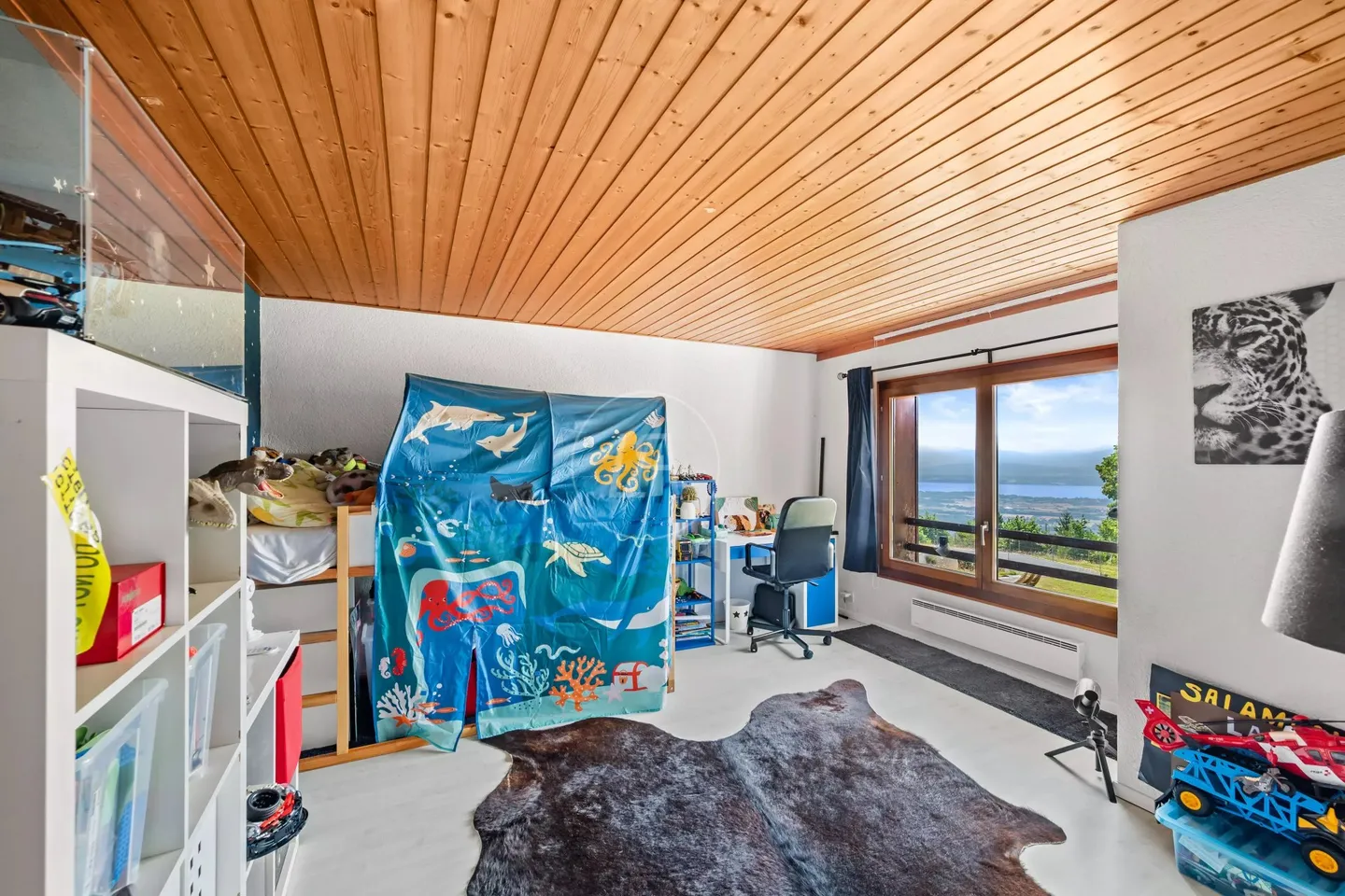 Charming property with 180° view in Arzier-Le Muids - Foto 12 di 13