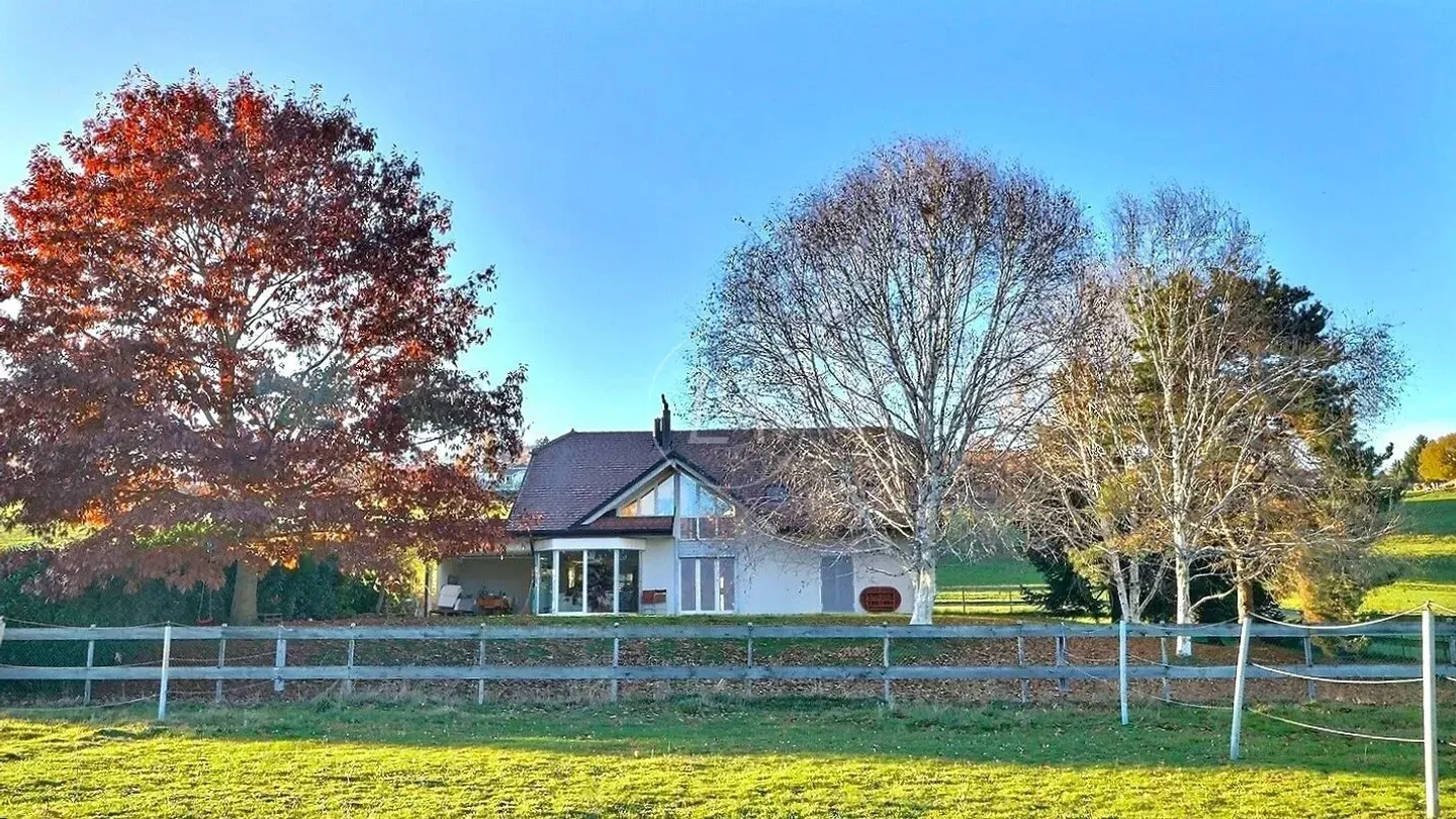 Rare Equestrian Estate with Pool - Photo 11 of 13