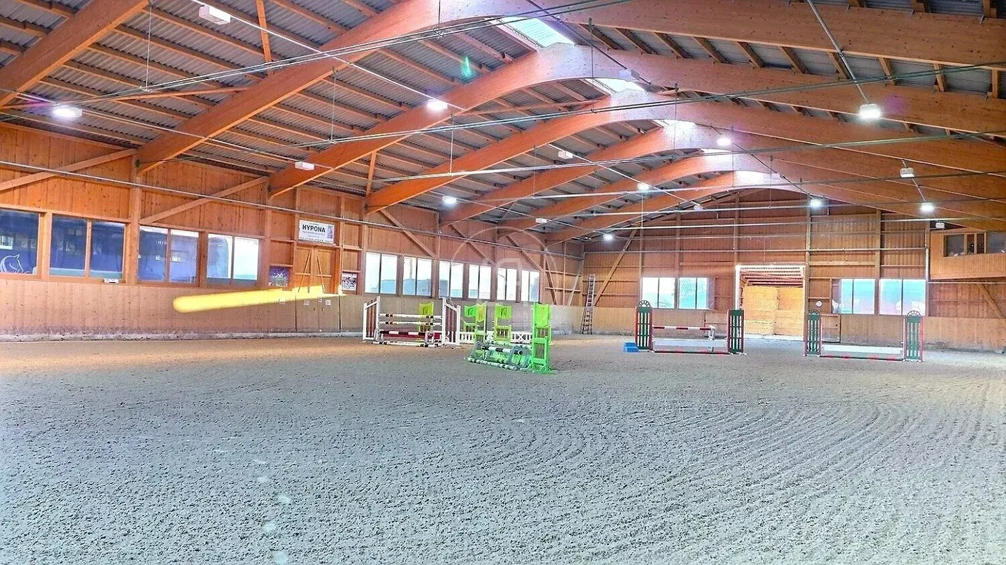 Rare Equestrian Estate with Pool - Photo 5 of 13