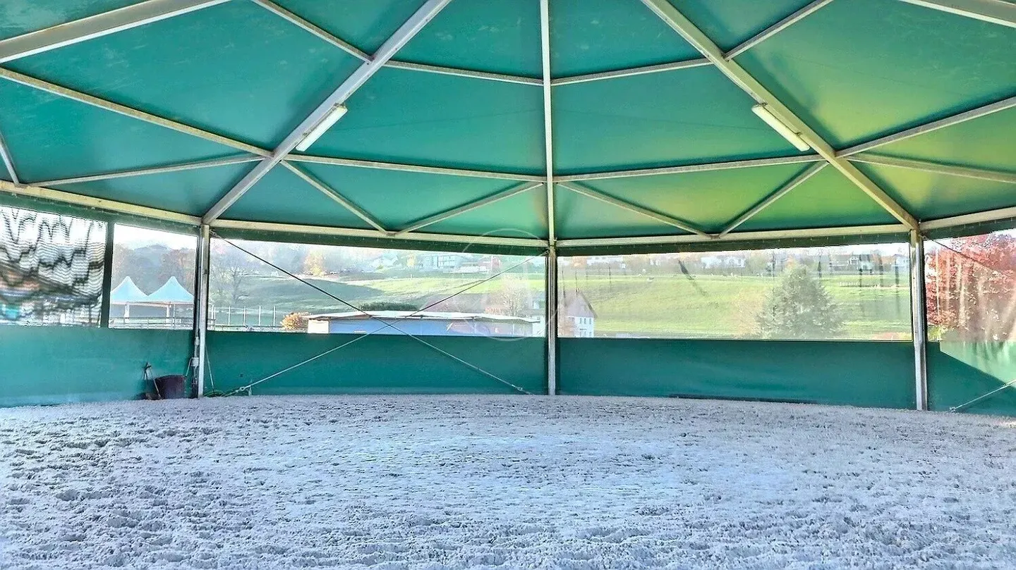 Rare Equestrian Estate with Pool - Photo 6 of 13