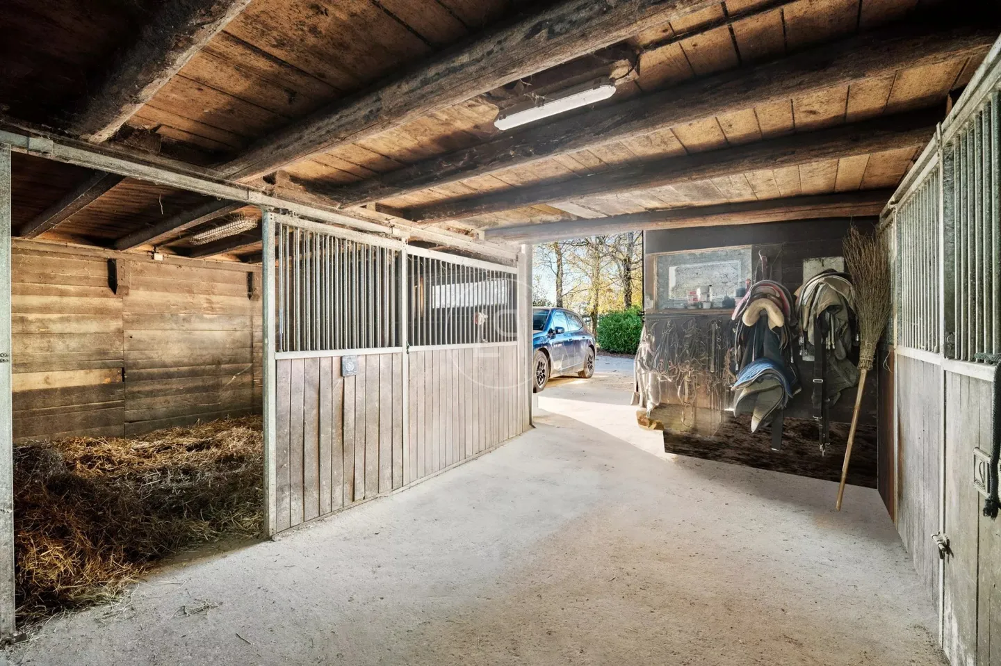 Seltene Reitanlage mit großem Potenzial in der Nähe von Lausanne - Foto 10 von 13