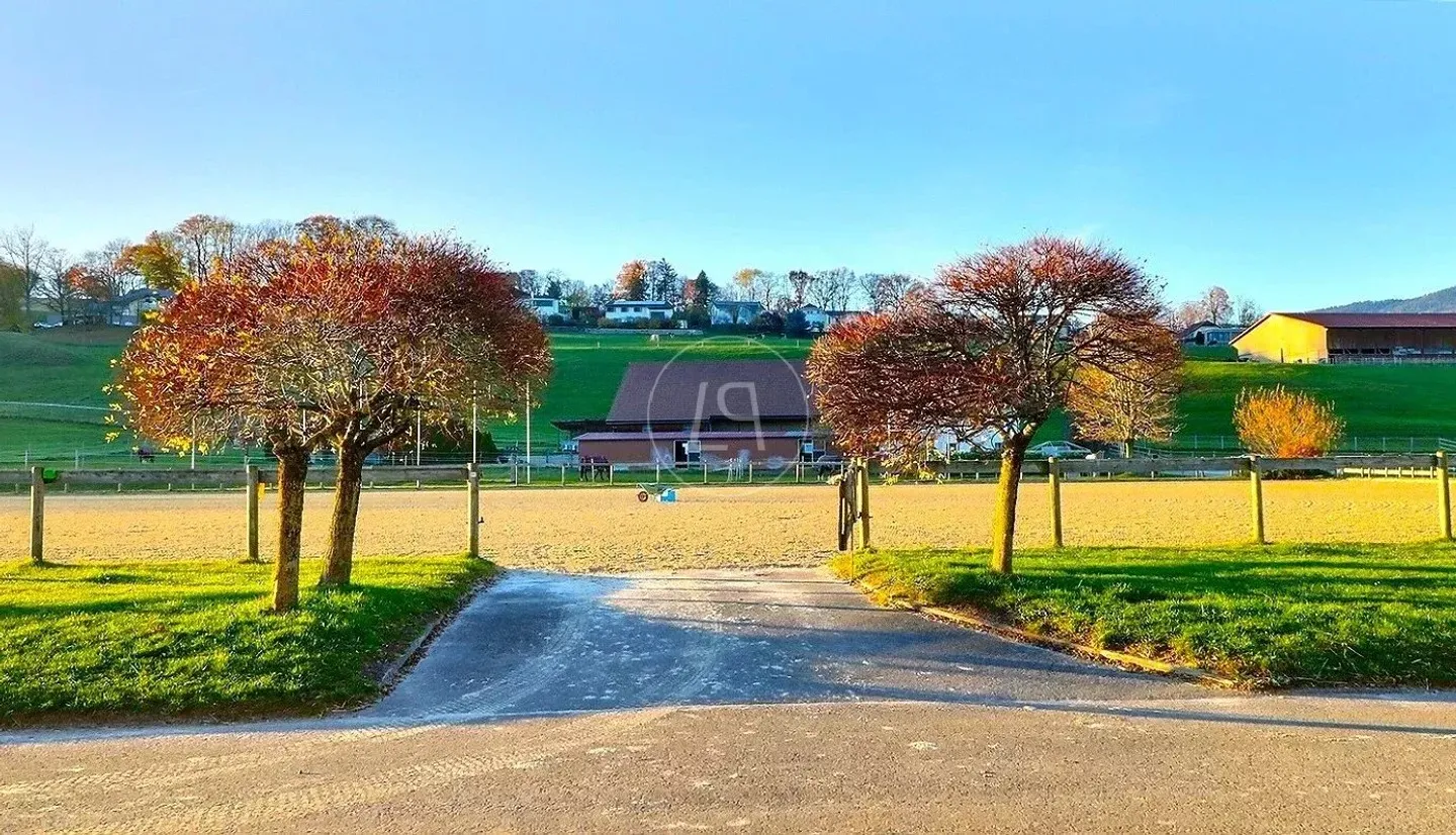 Rare Equestrian Estate with Pool - Photo 4 of 13